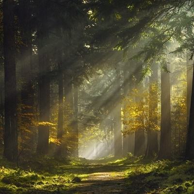 加拿大28手机app下载