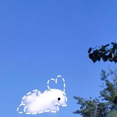 汇彩网登录大厅截图