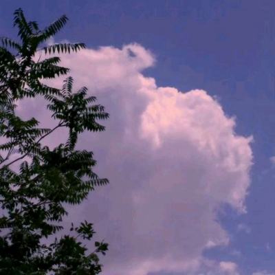 澳门威尼斯人软件