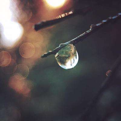 金沙app下载官网